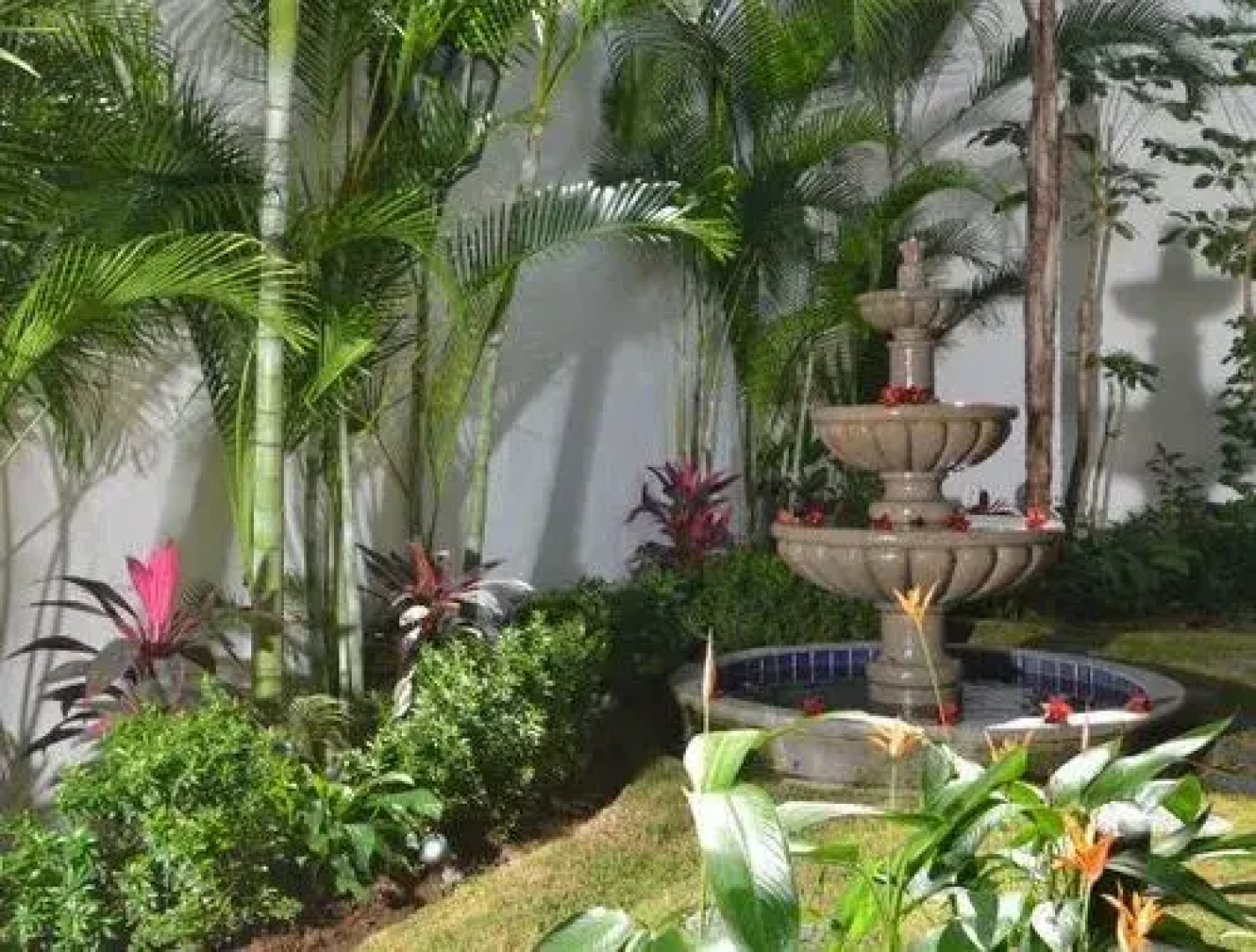Casa Dos Cisnes