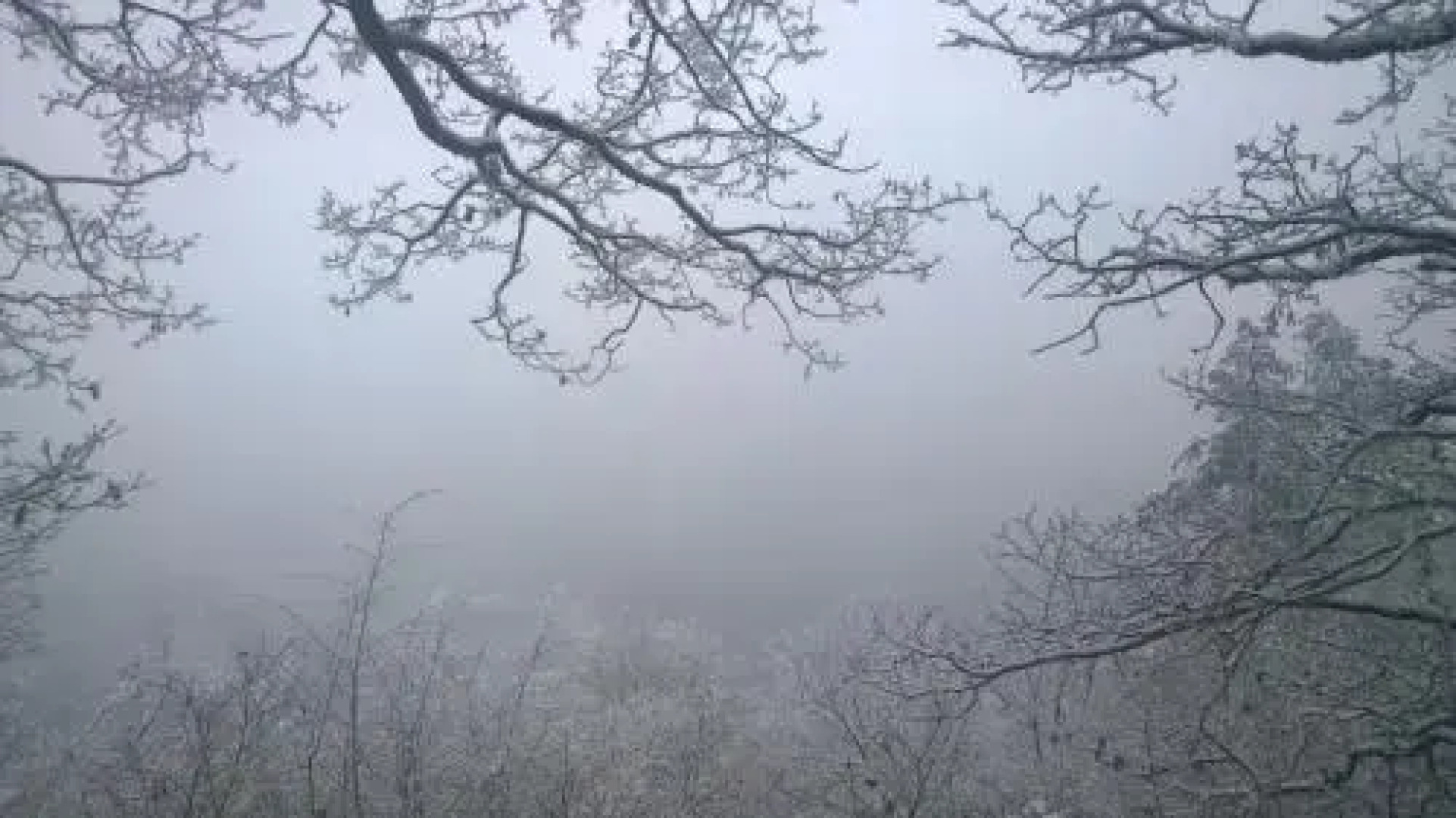 Apartment Nad Punkvou