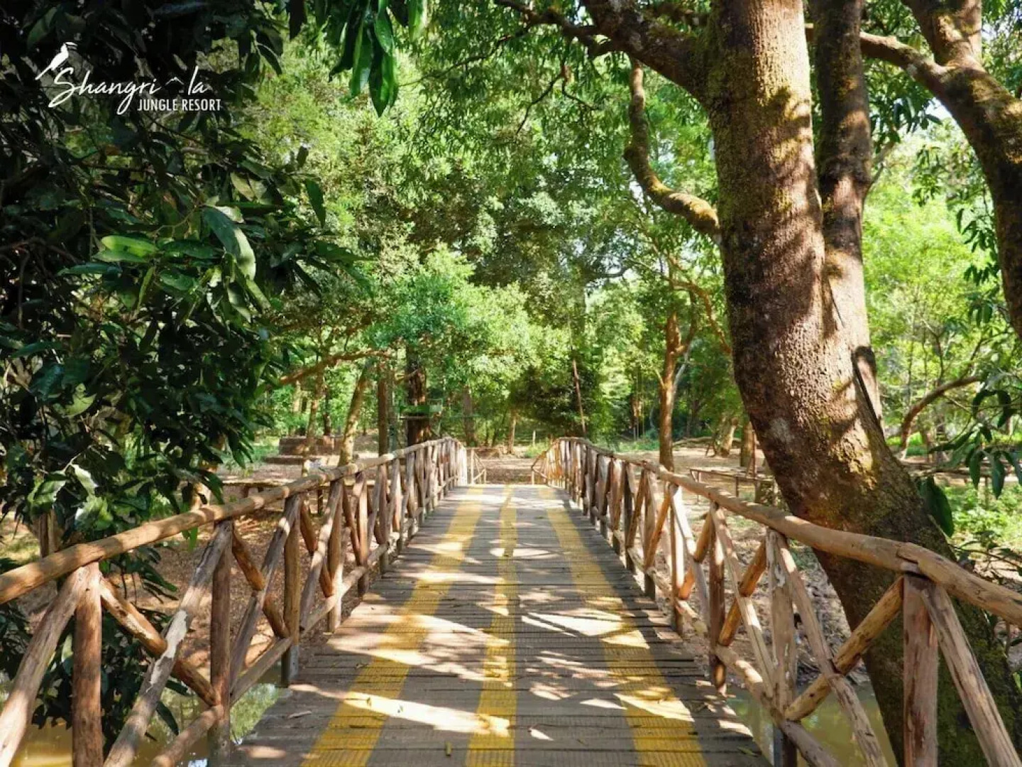 Shangri La Jungle Resort