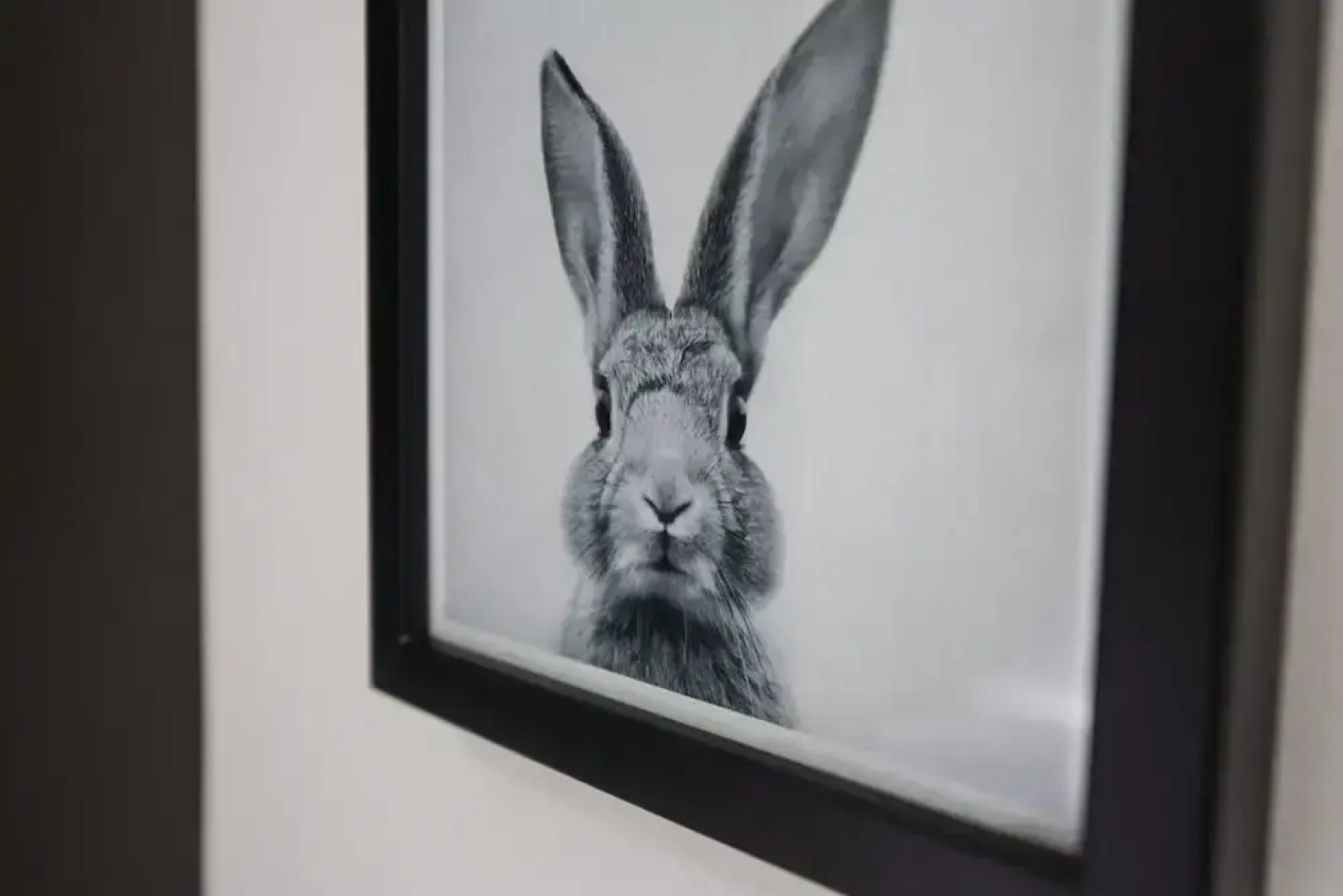 The Burrow City Rooms (Homestay)