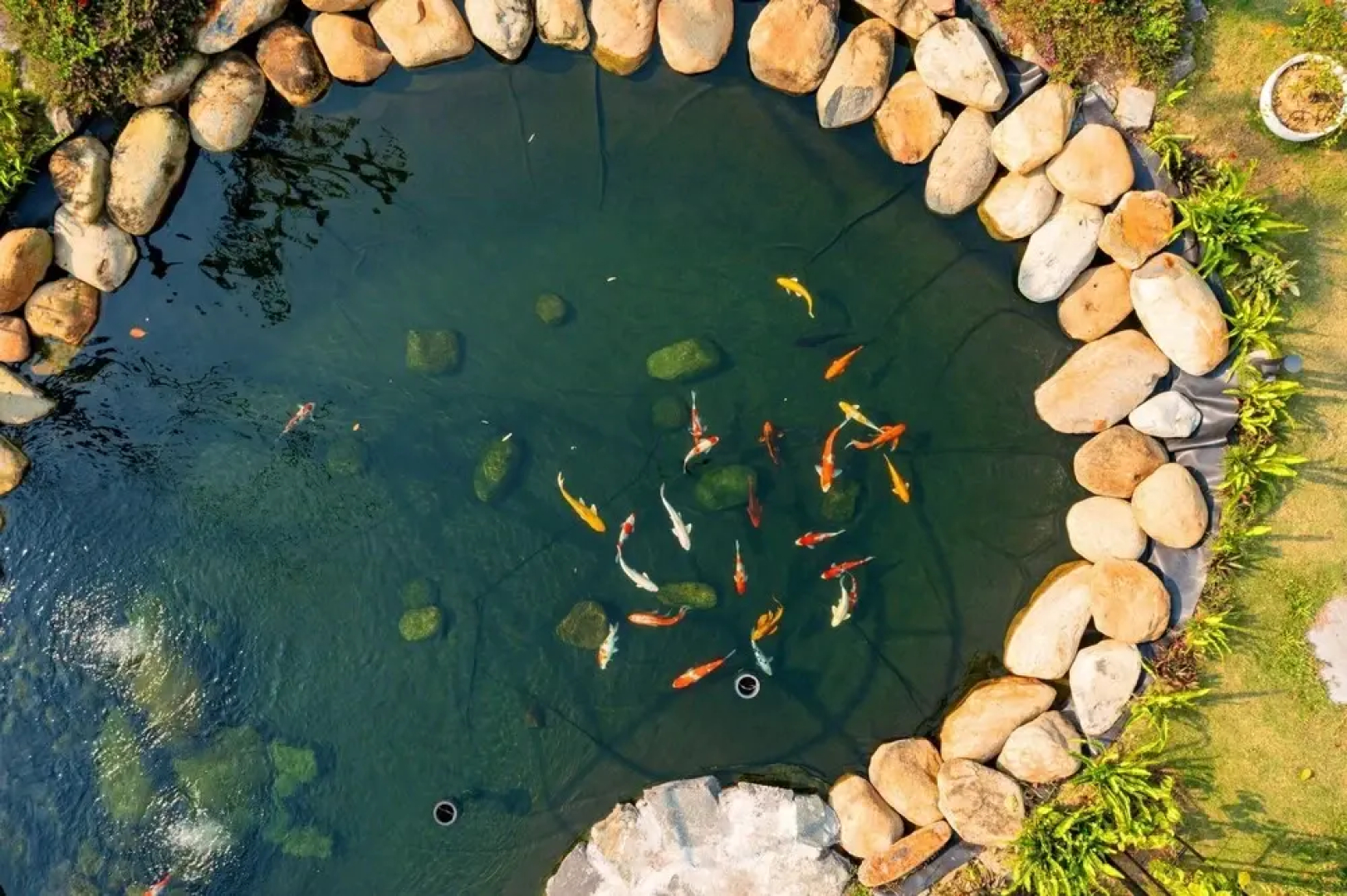 Tico Villa Tam Dao
