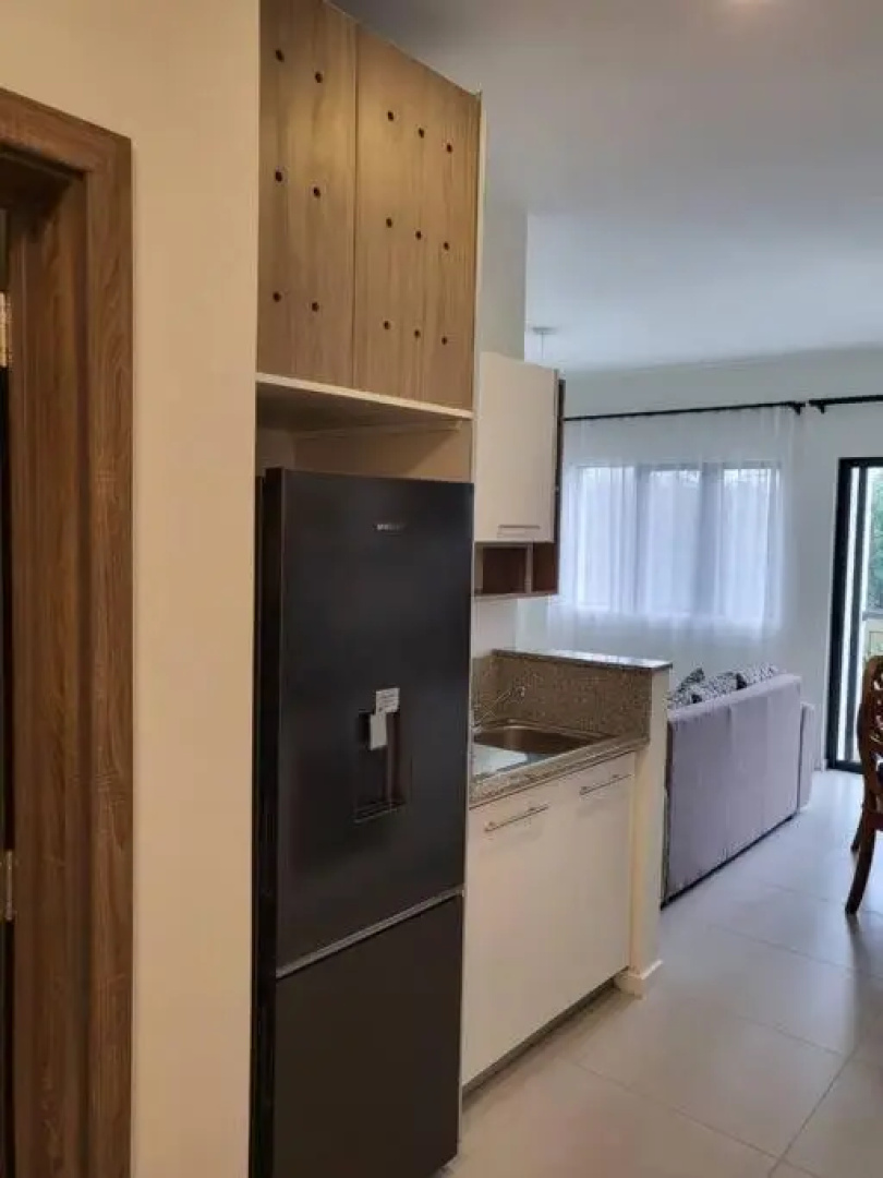 Elegant 1-bedroom apartment with close amenities