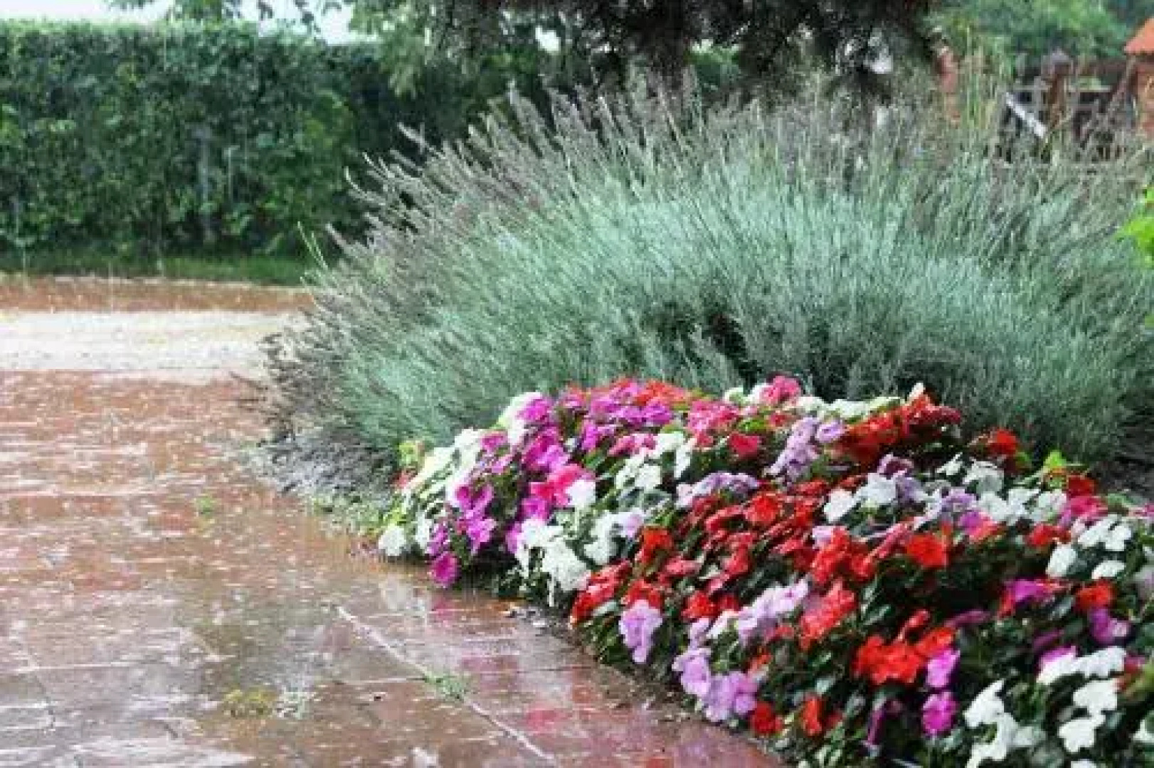 Fogadó a Suttogóhoz