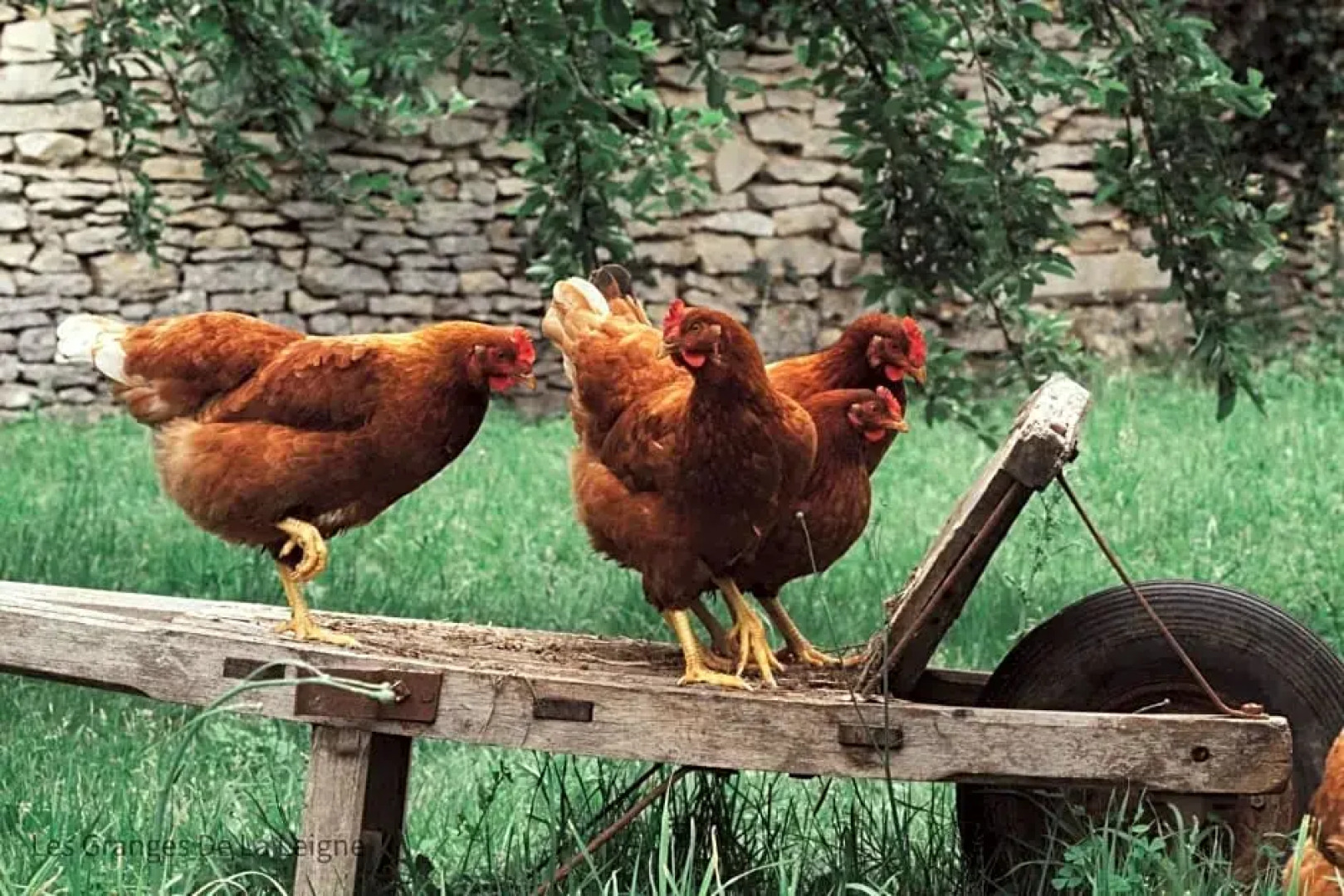 Les Granges de la Leigne, Ruffec