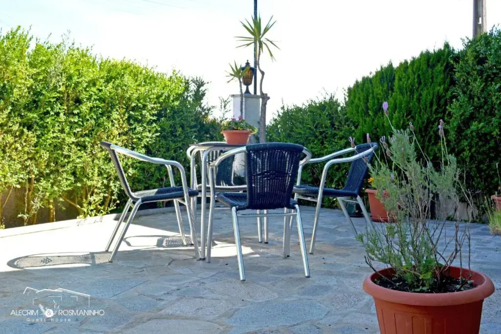 Alecrim Rosmaninho Guest House