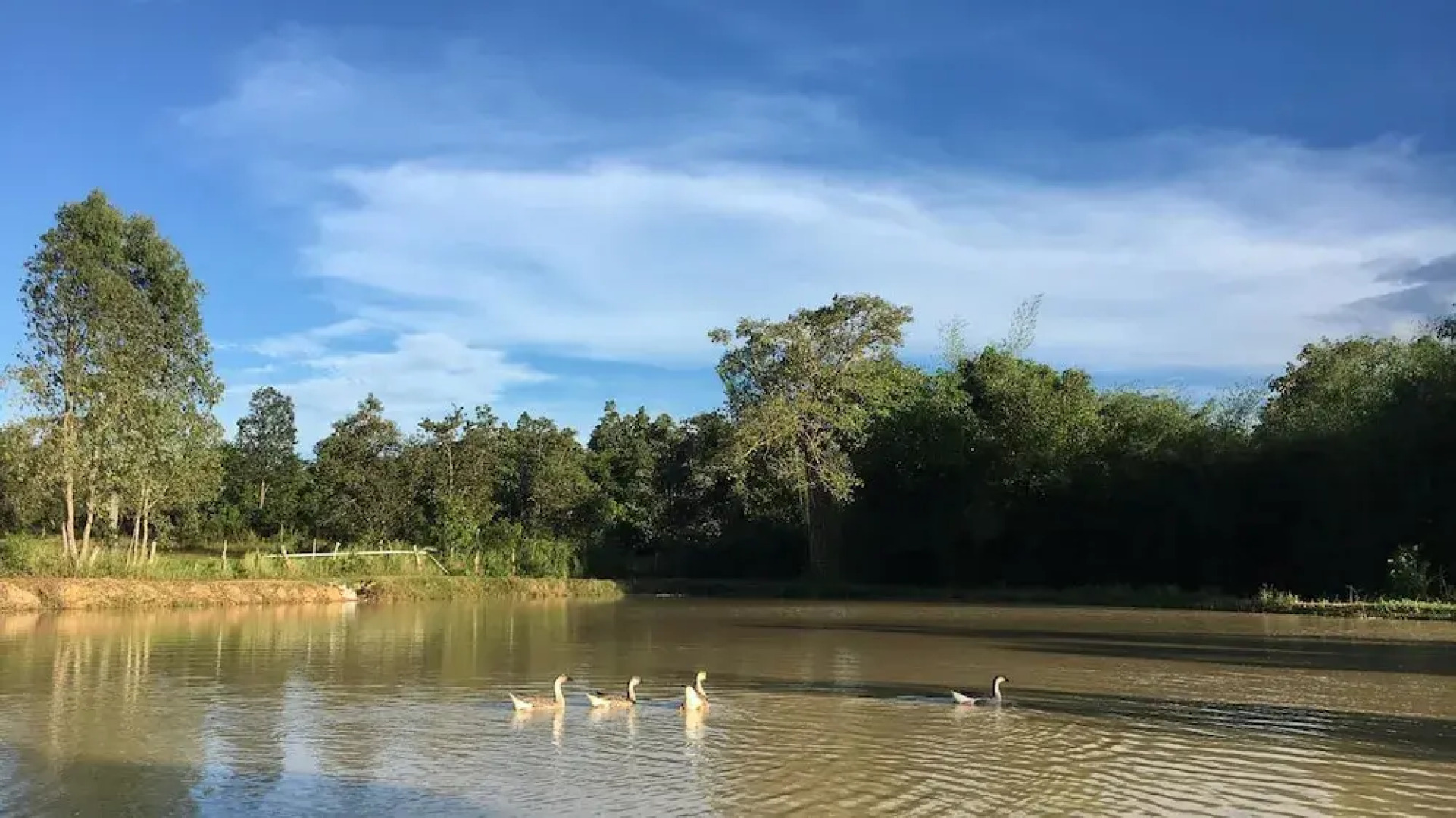 The Goose Farm Stay & Cafe