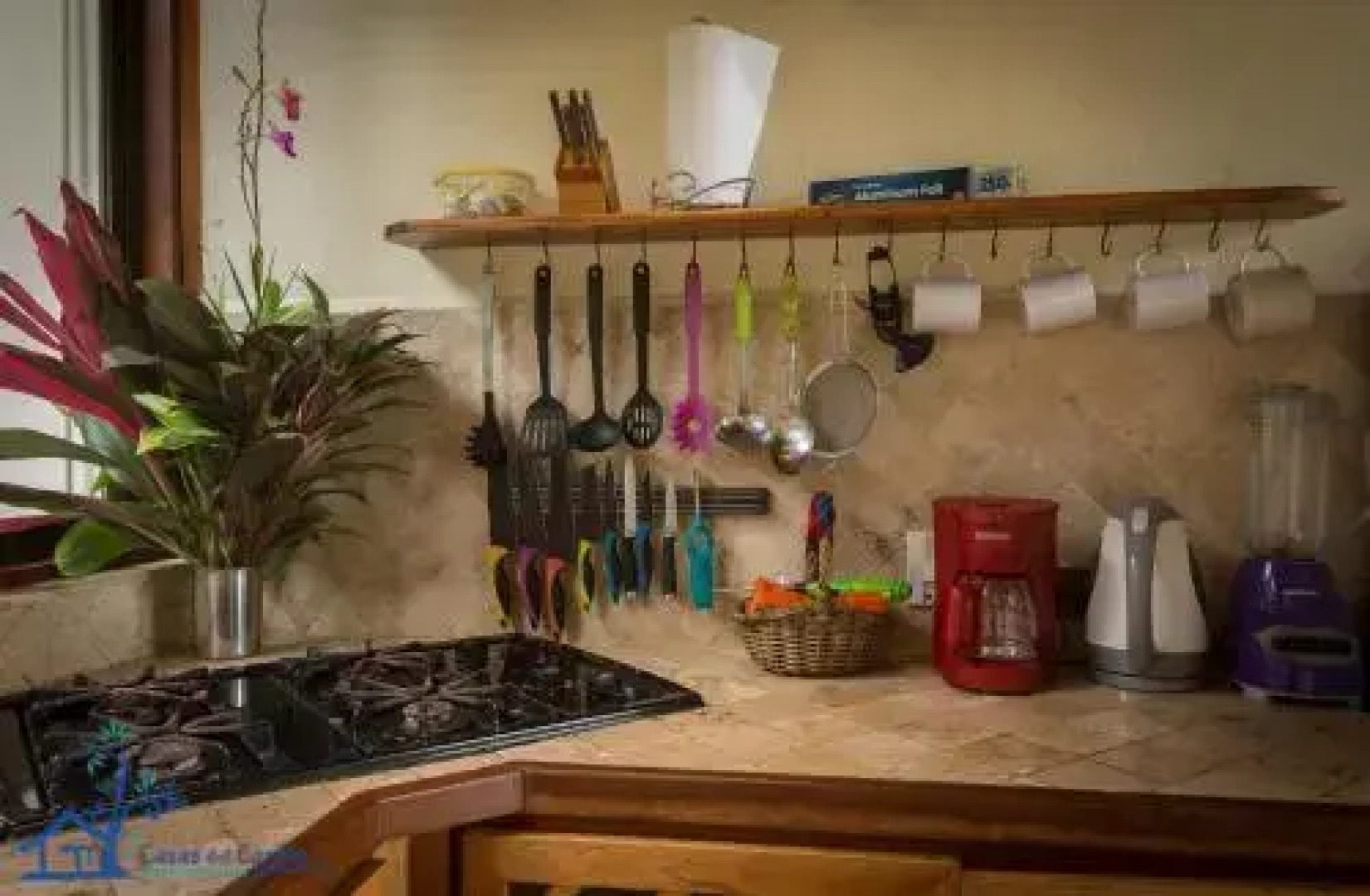 Villa Toucan with National Geographic Views