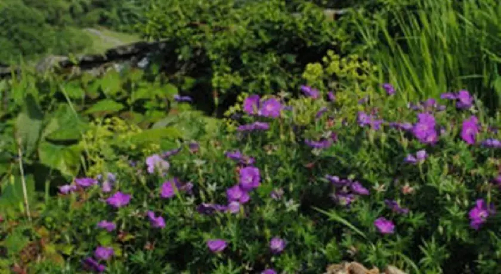 Langcliffe House B&B