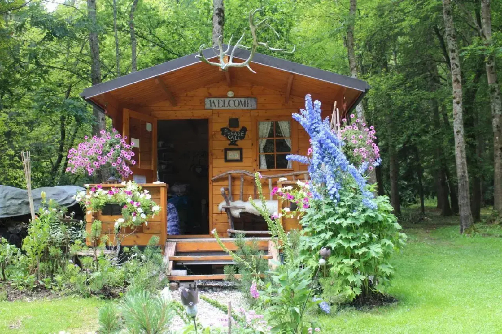 Natura Eco Camp