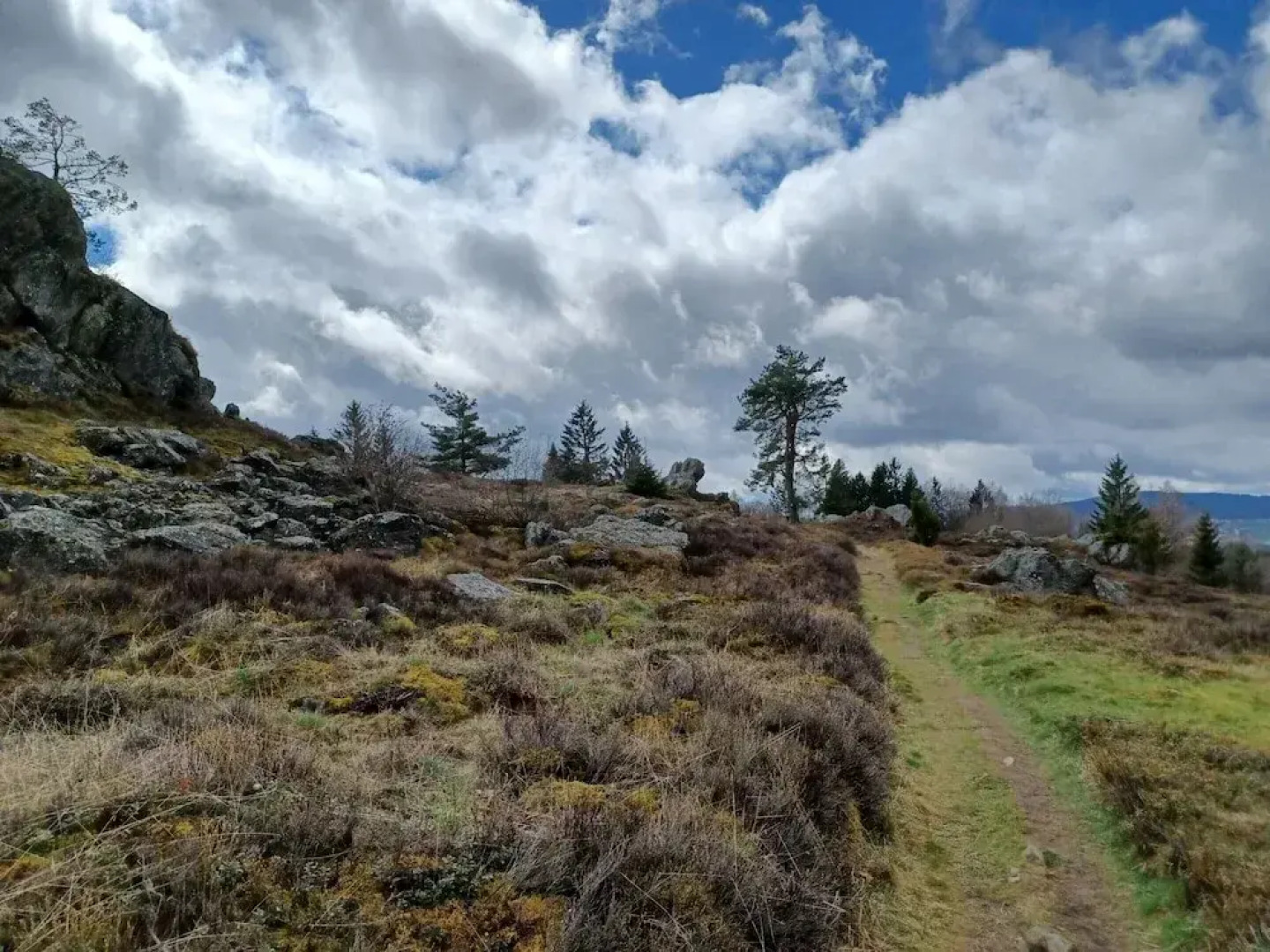 Cozy Holiday Home in Stadlern near Ski Slopes