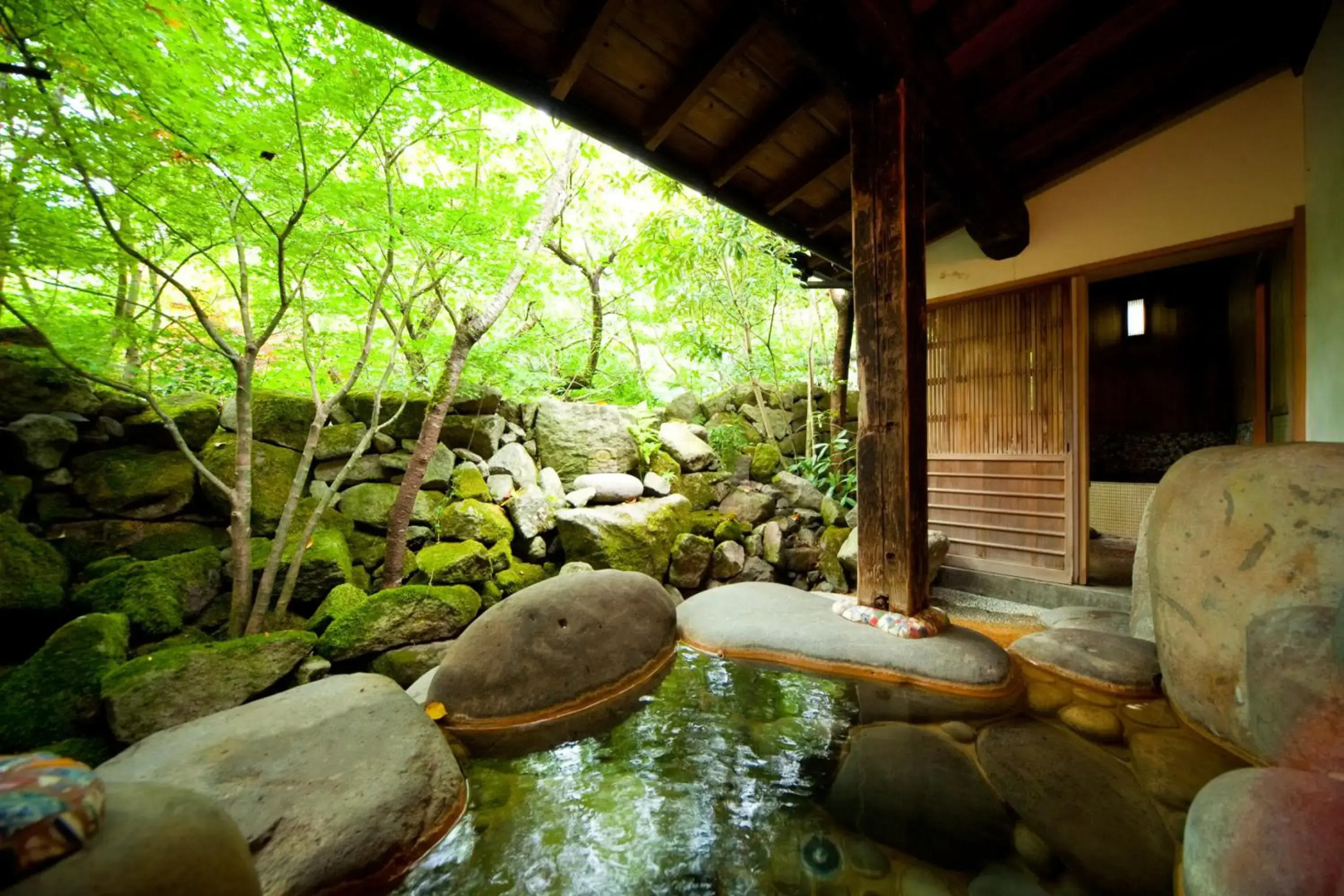 Kayausagi