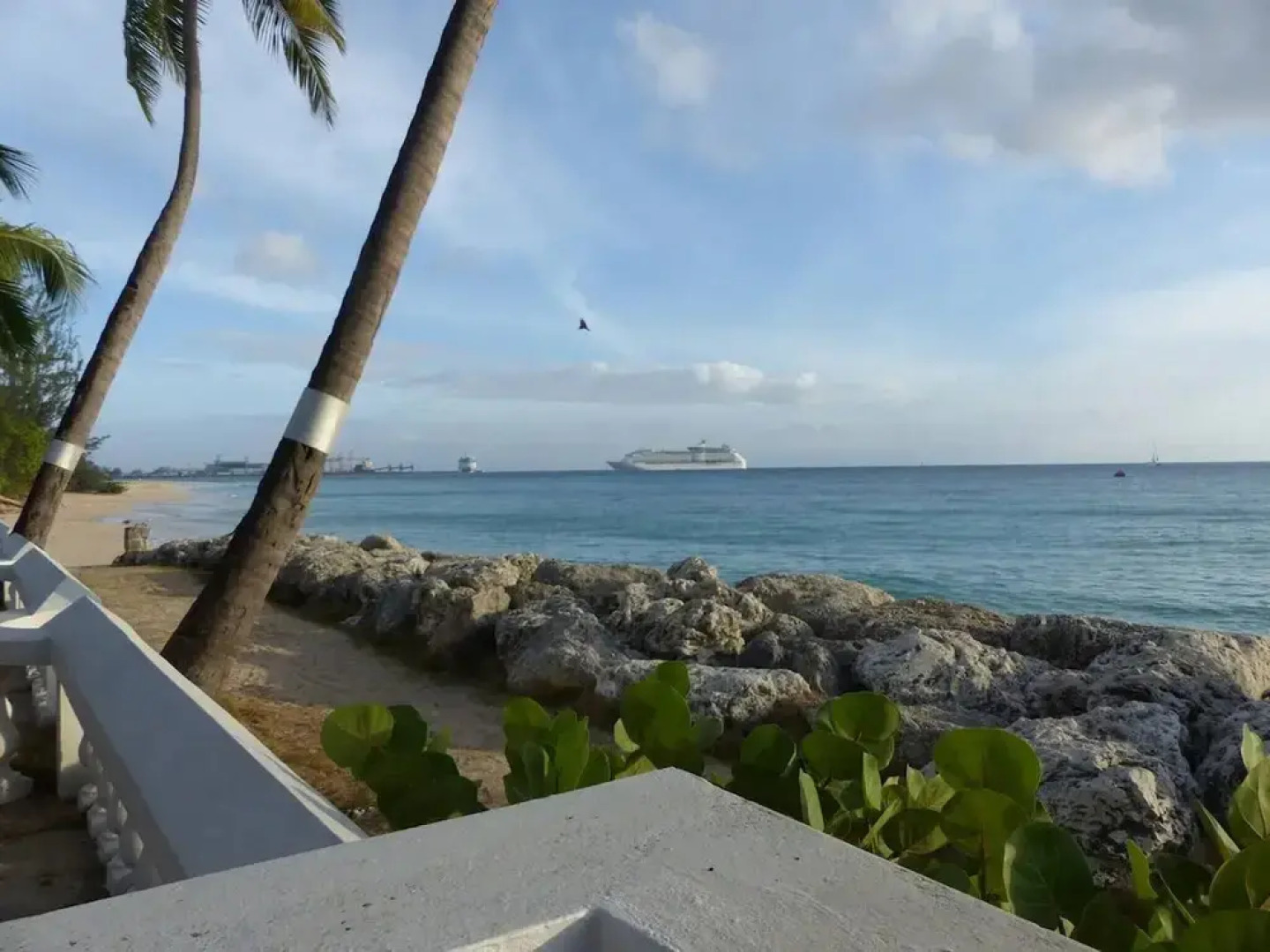 Zenbreak Freshwater Beachfront #5