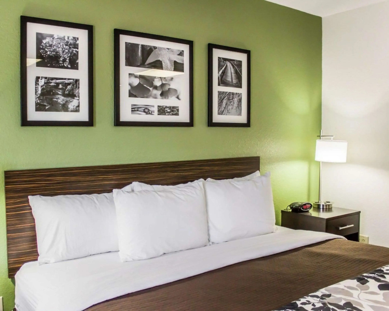 Sleep Inn Fayetteville I-95