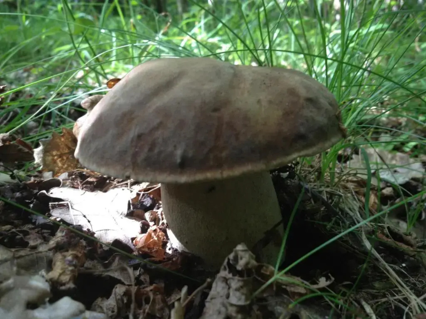 El Refugio de Aran Vielha Aparthotel