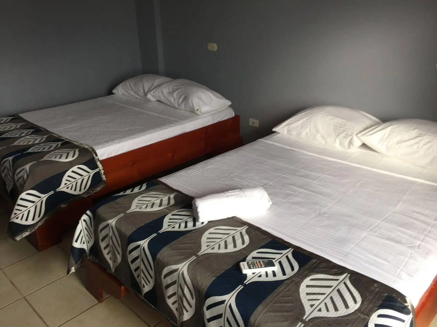 Arenal Bromelias (Antes Carmela)