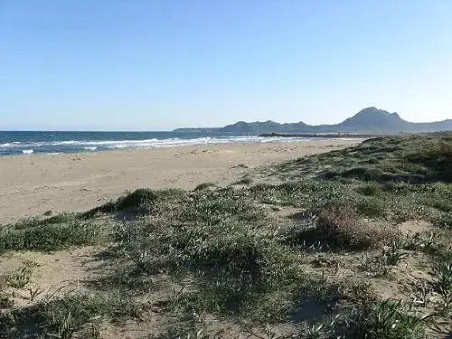 Mirto E Mare