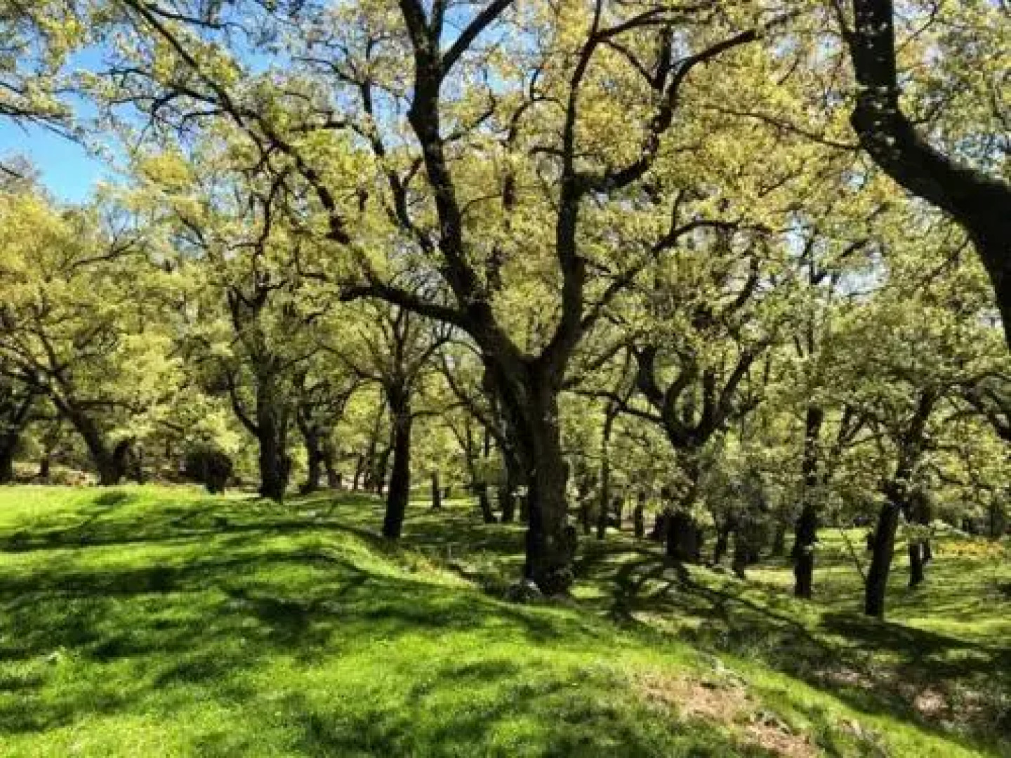 Apartament Piteus Centre