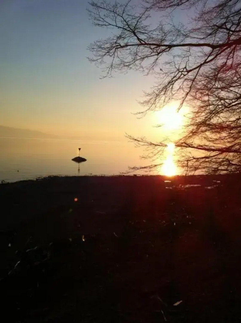 Ferienwohnung Bernhardt