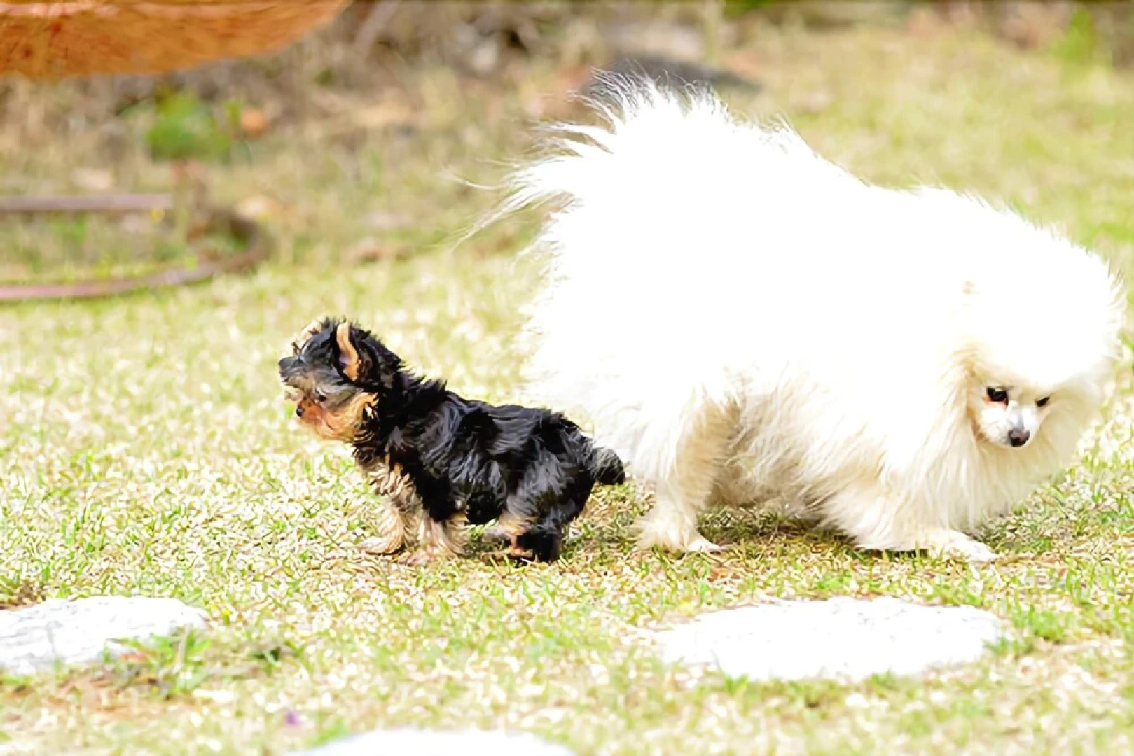 Yangpyeong Plus Pension
