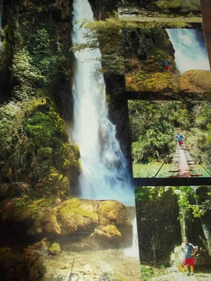 Room in Lodge - Sierraverde Cabins "cabaña la Palma"