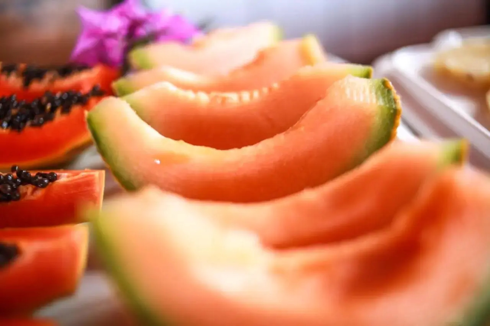 Pousada Corais do Sul