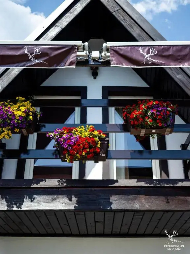 Pensiunea LIN COTA 1000