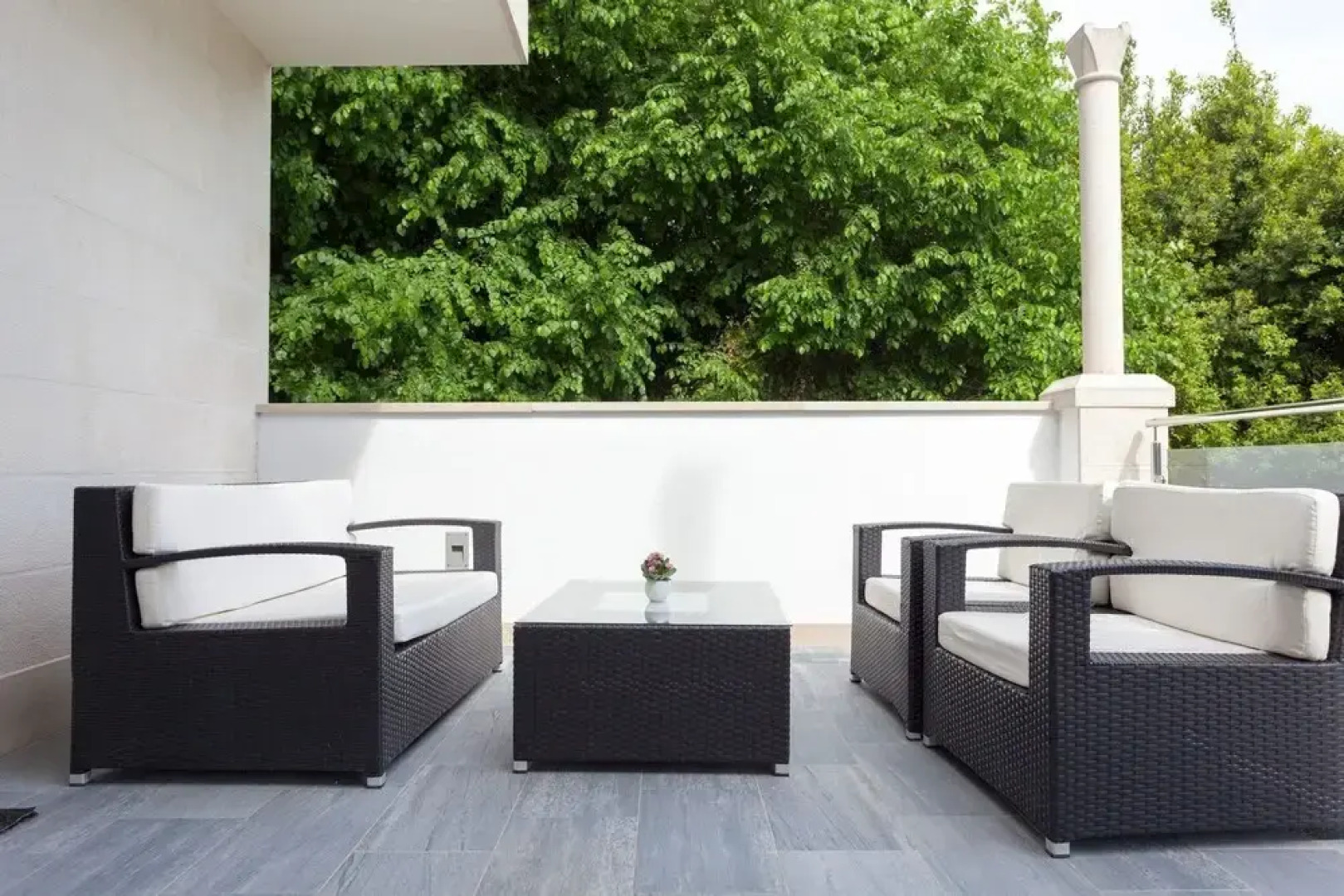 Hedera Estate Hedera A23