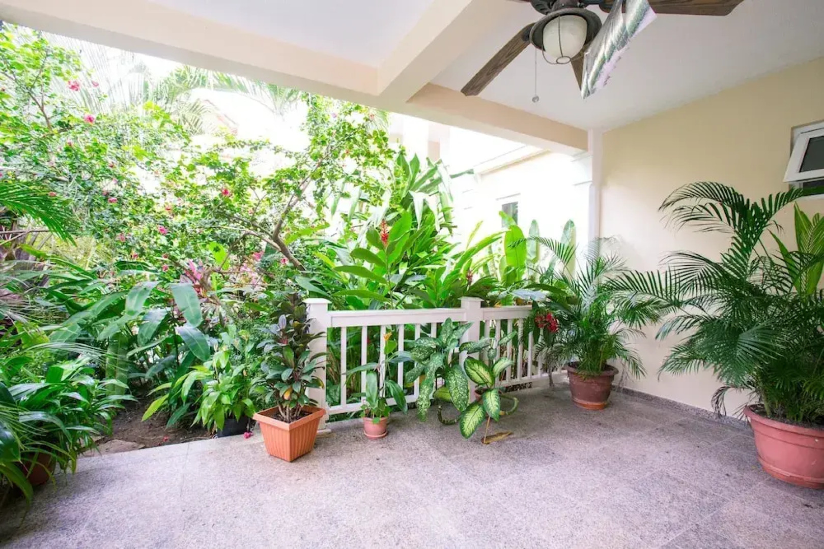 Lawson Rock Yellowfish 119