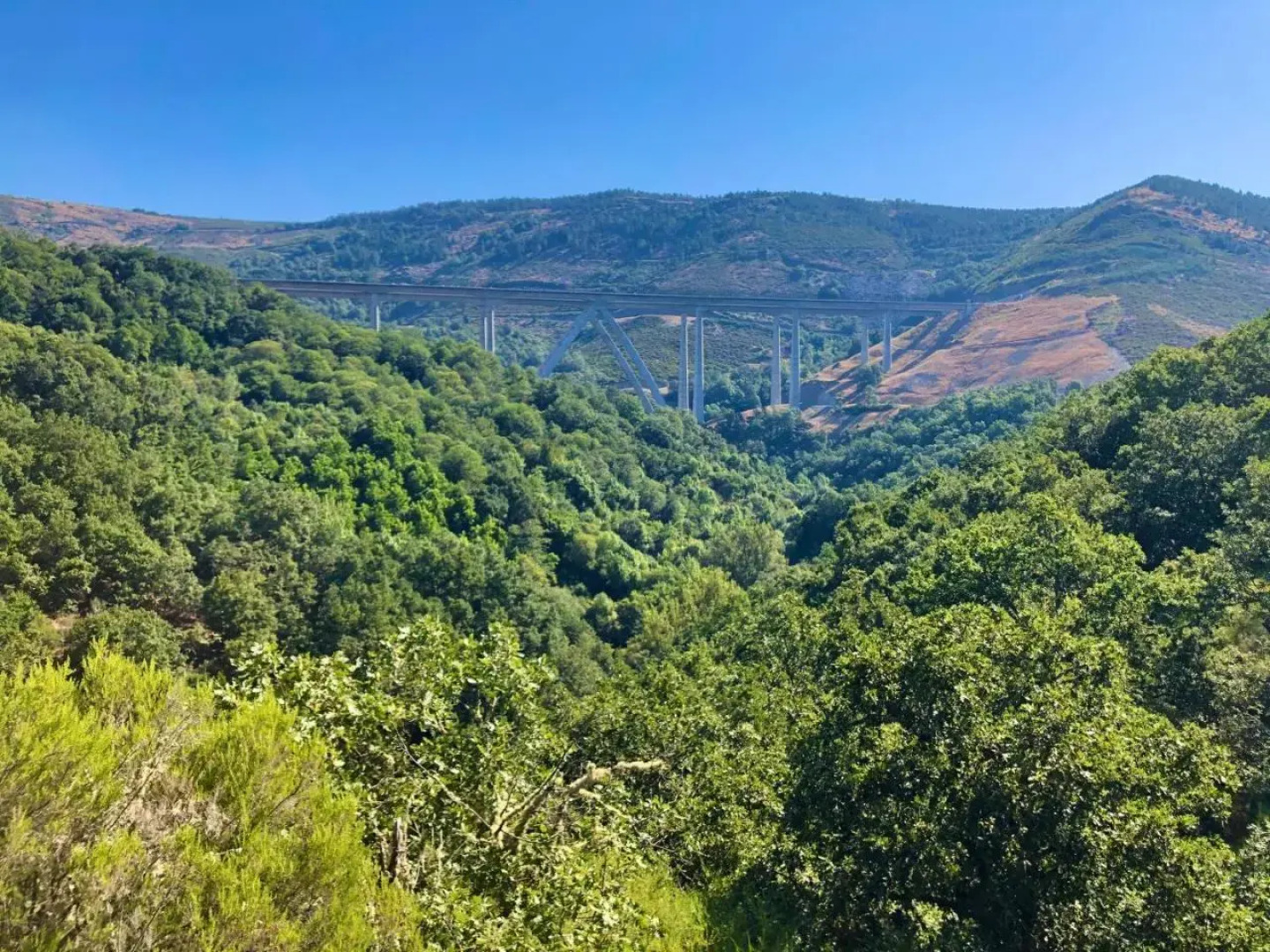 Pensión Blanco Conde