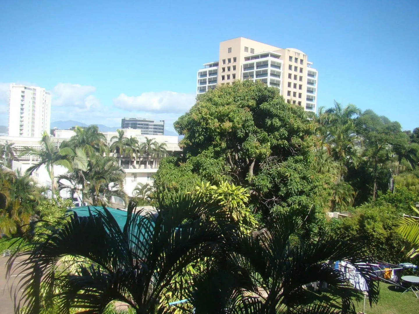 Orchid Guest House