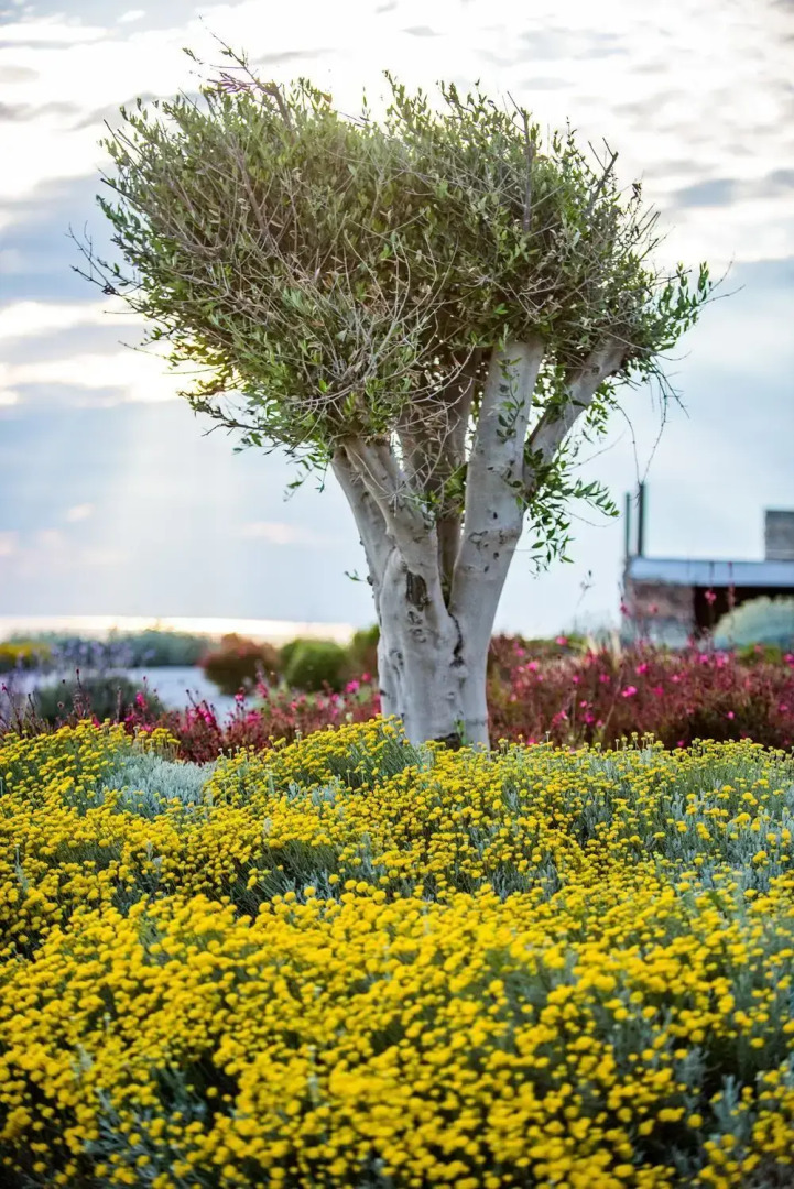 Vathi Bleu Private Villas