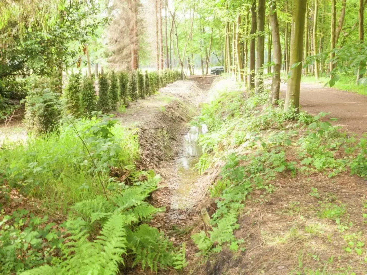 Cozy Holiday Home near Forest in Baarn