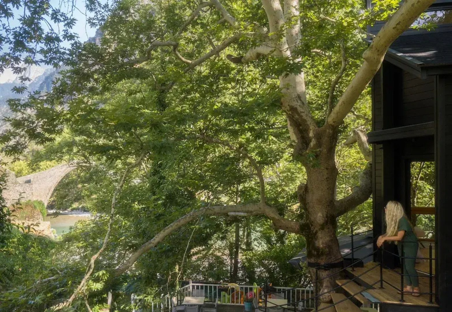 Aoos river Treehouse