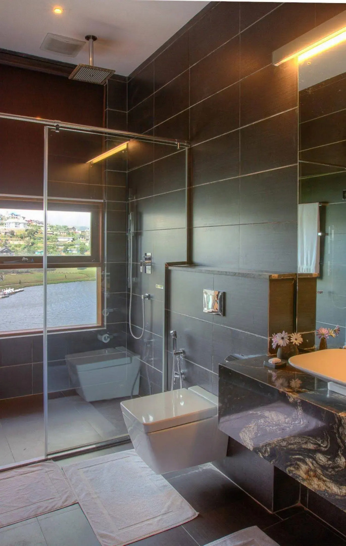 Tea Plant Nuwara Eliya