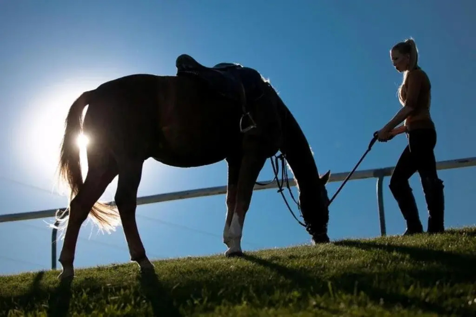 Equitana Hotel Resort