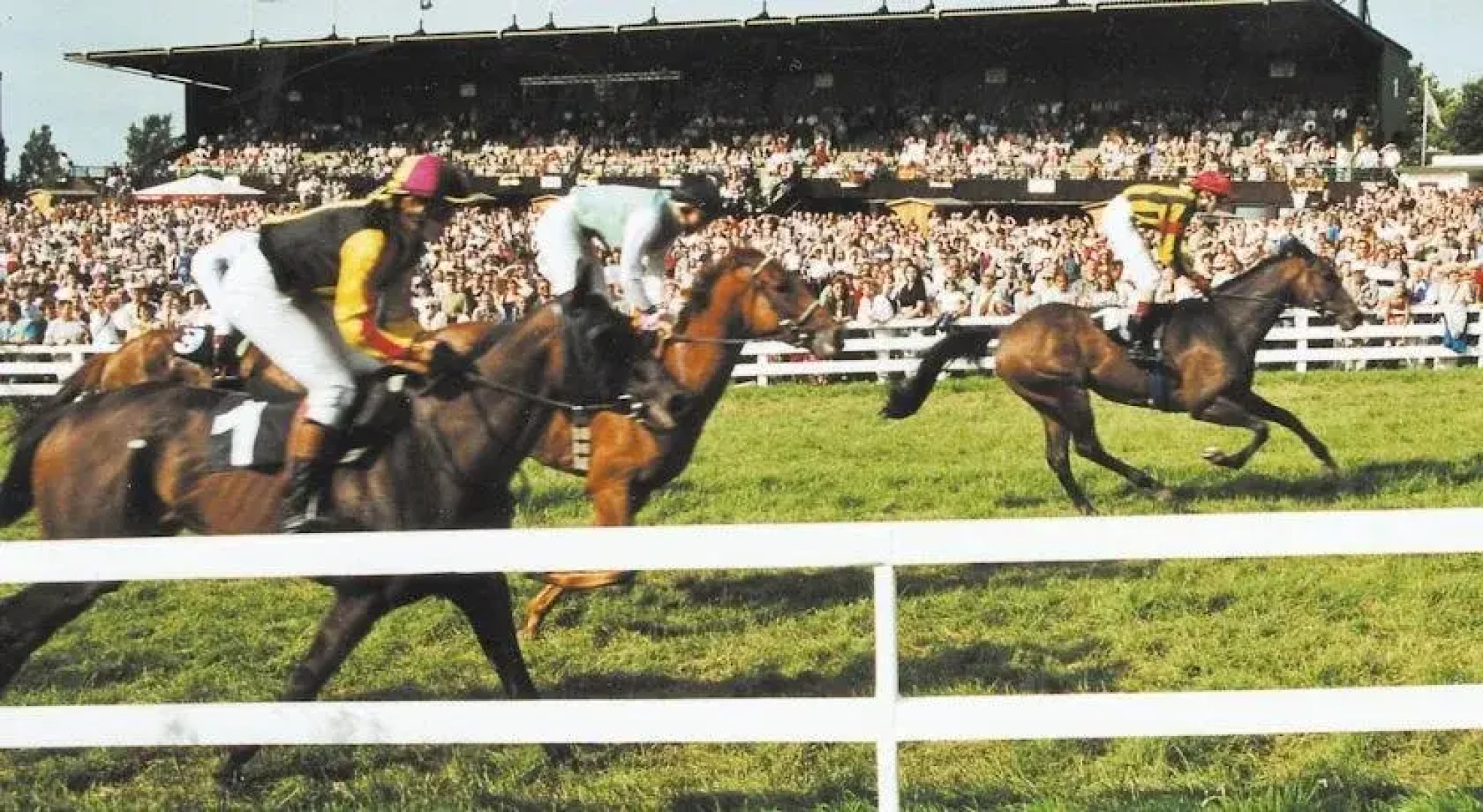 Hotel garni Parkblick