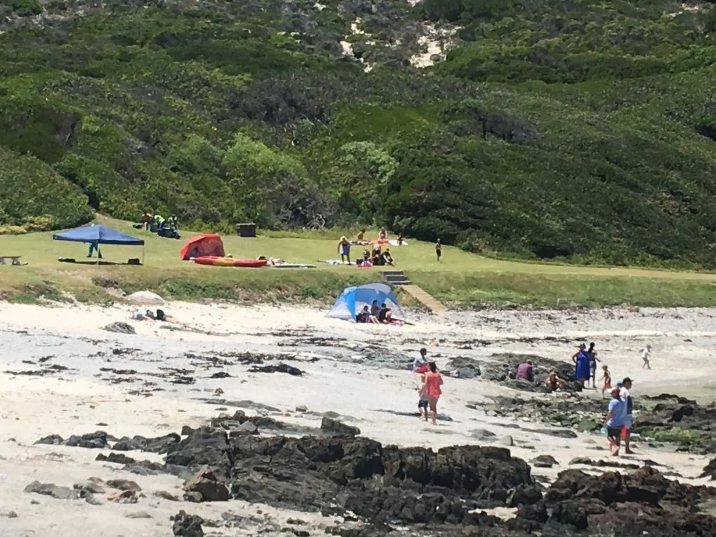 Royal Whale Watching