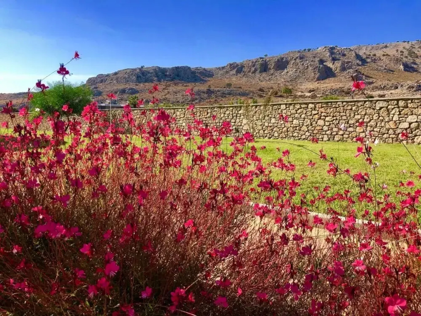 Estrella Villas Rhodes Verano Villa Up to 6 Guests