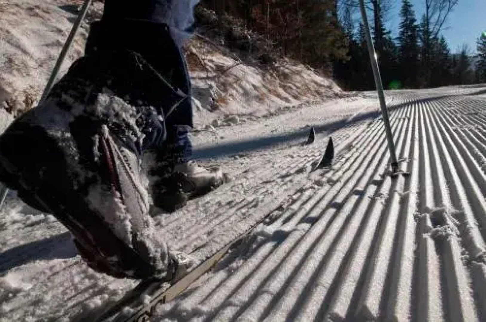 Gościniec Pod Czeremchą