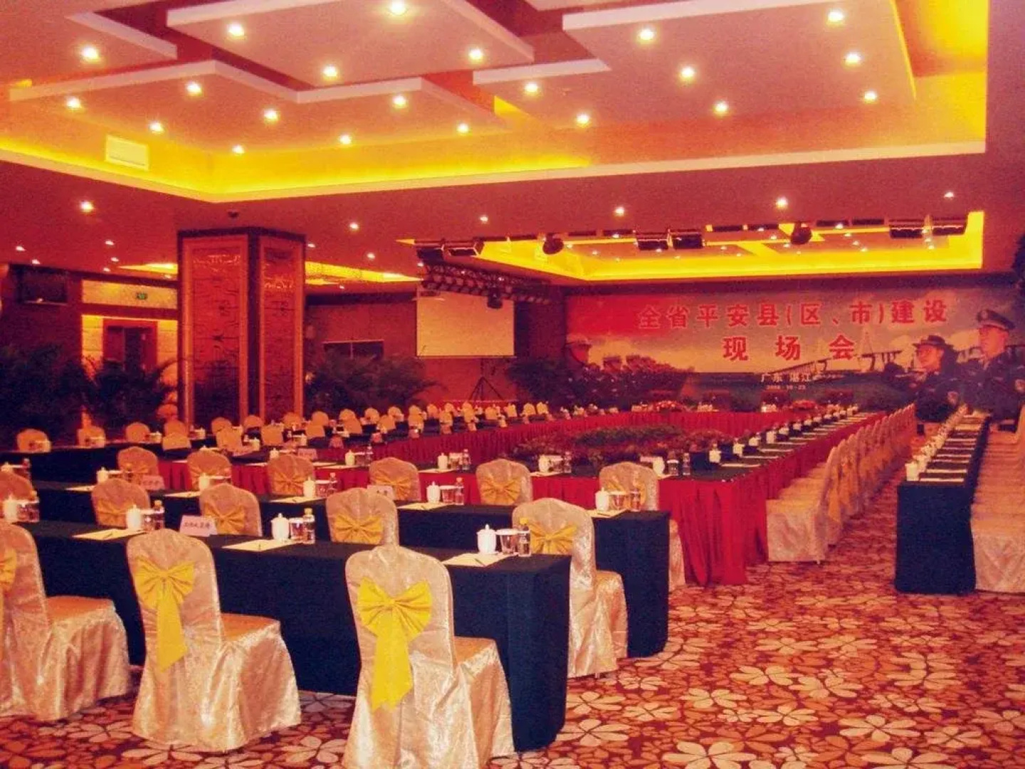 Hafree Internationall