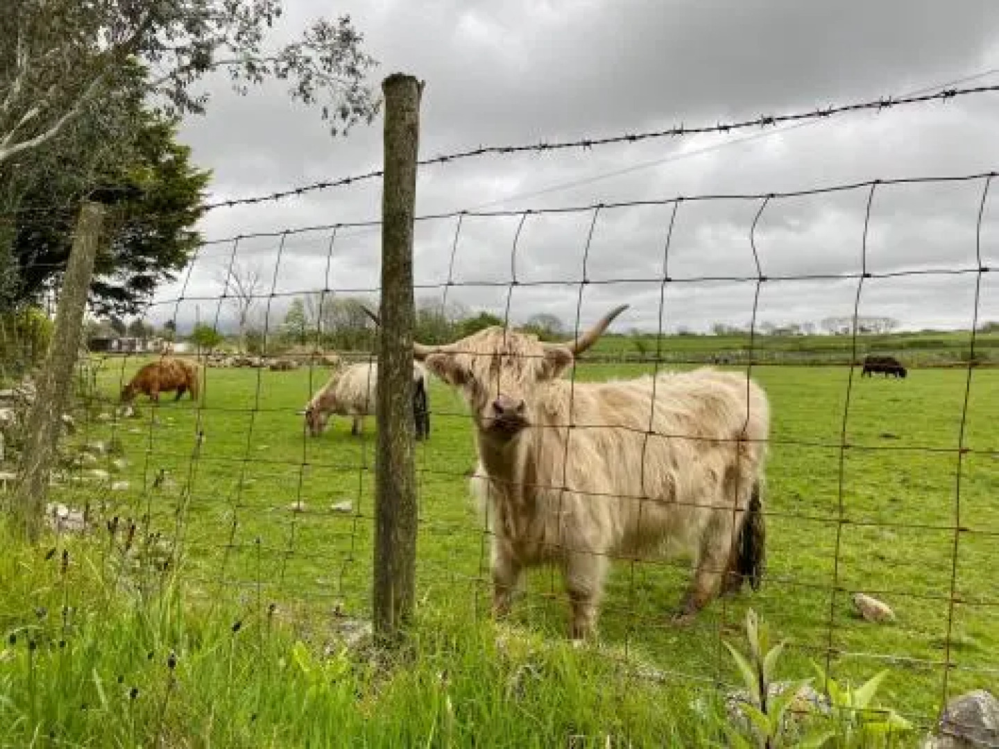 Hendy Cottage Pwllheli