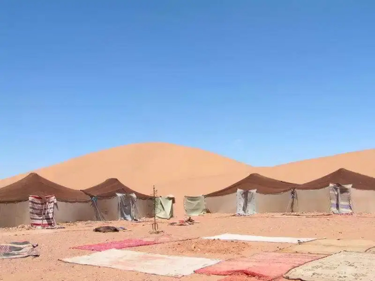 Bivouac M'hamid Le Pacha