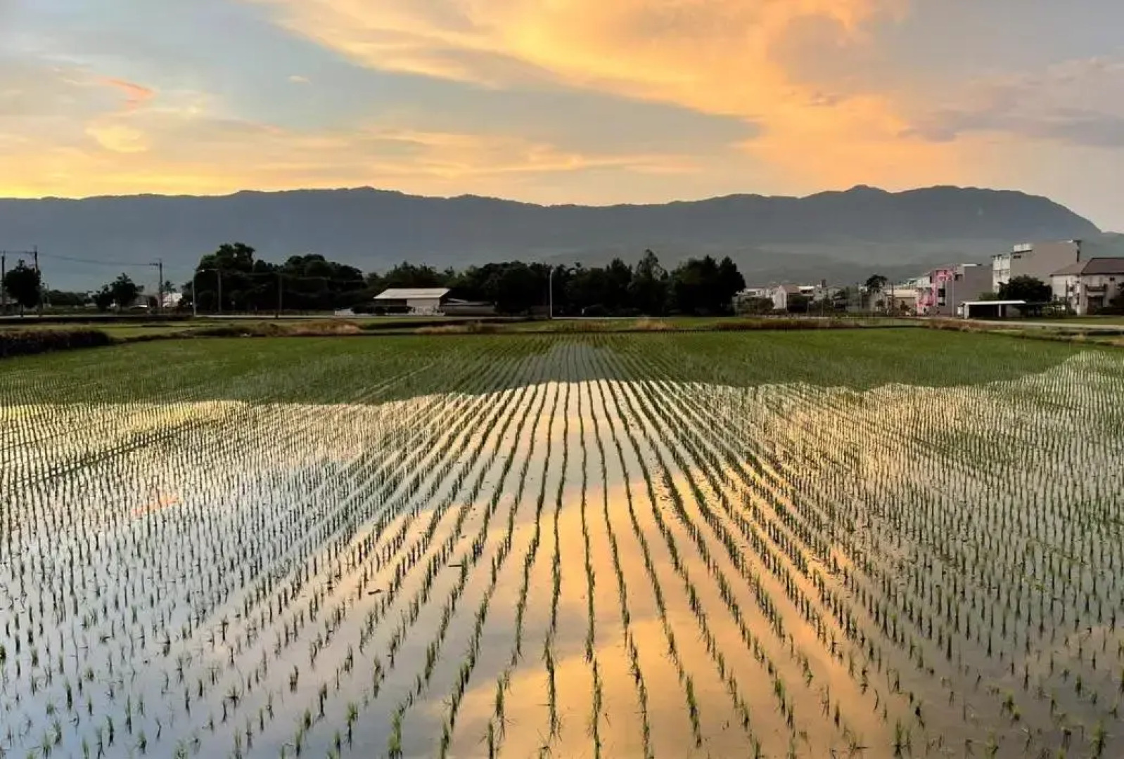 Blue and White Holiday B&B