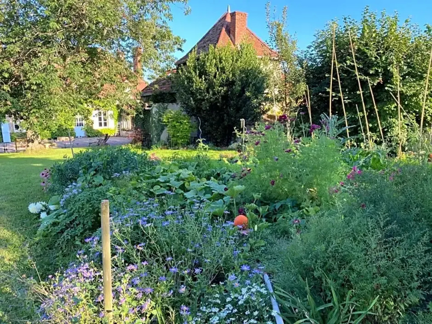 Le Brulon (Adults Only)