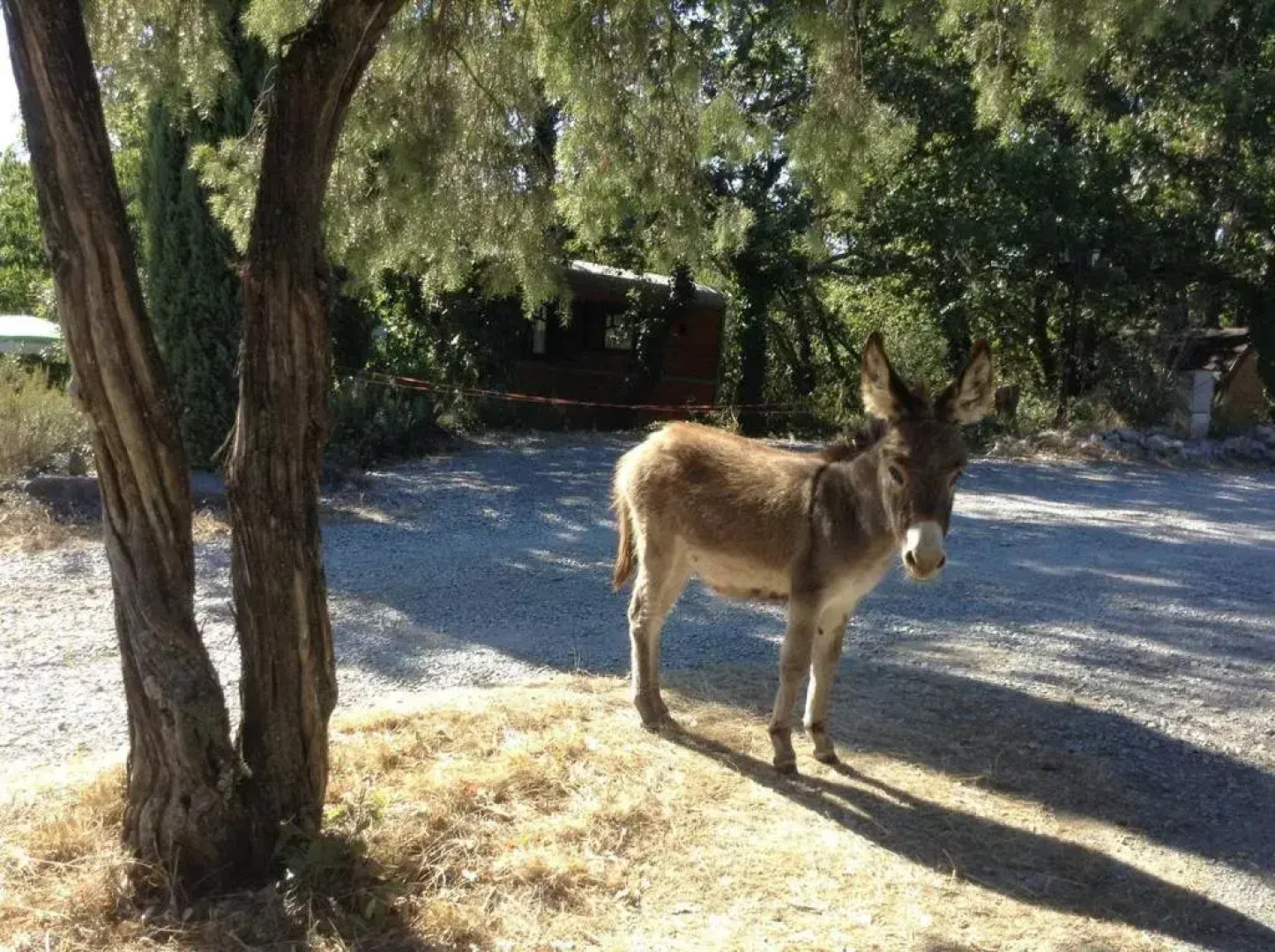 Suite Nid D'amour Et SPA Privatif