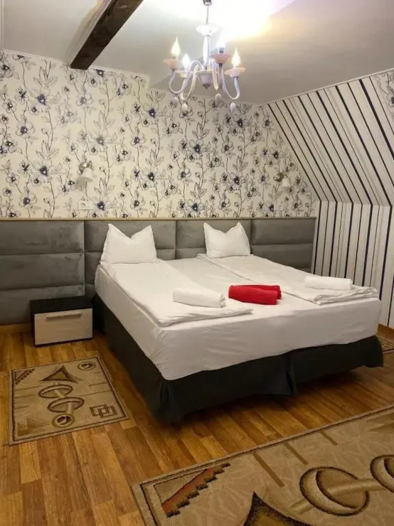 Pension Domeniul Regilor