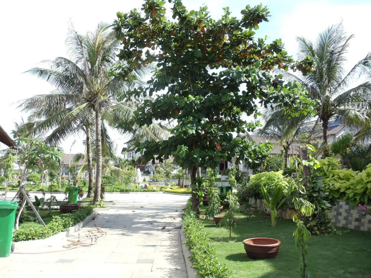 Sa Huynh Beach Resort