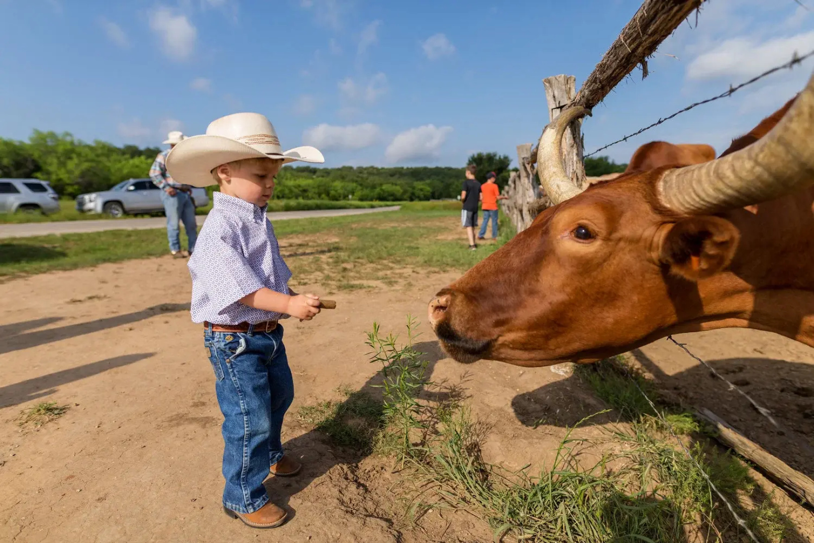 Wildcatter Ranch Resort & Spa