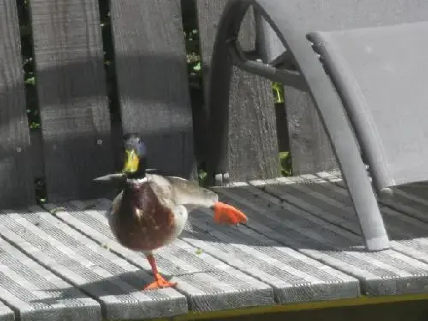 Eco-Logis du Vignoble