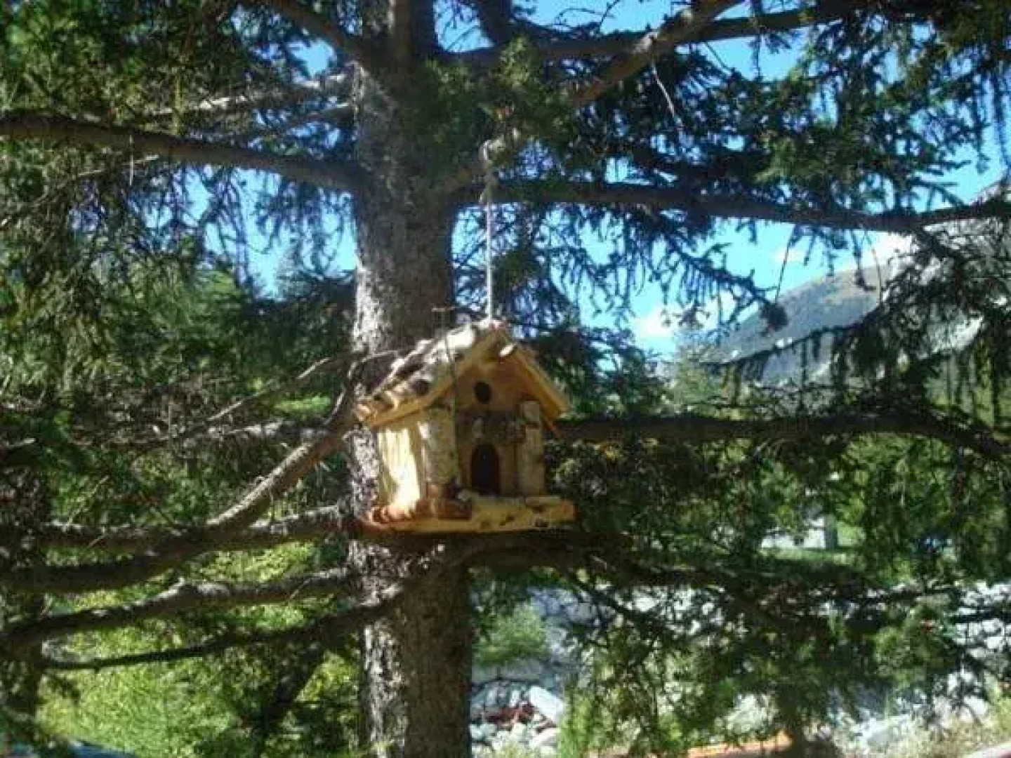 Chalet Lavis Trafford